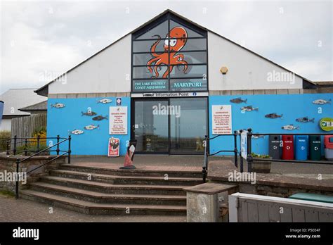 The Lake District Coast Aquarium Maryport Cumbria England Uk Stock