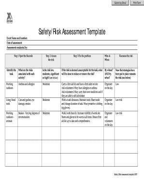 Safety Risk Assessment Report Template