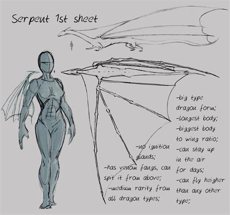 How To Draw Dragon Wings Folded