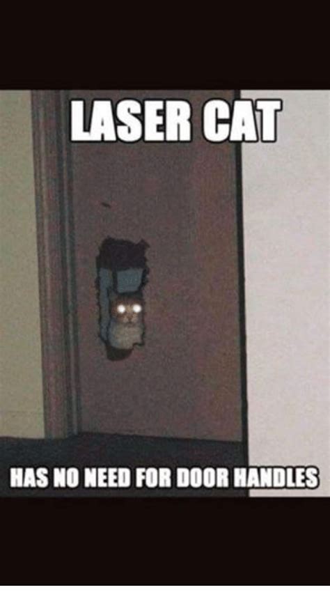 Laser Cat Meme On Meme
