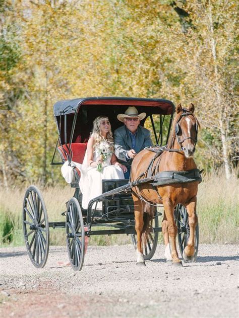 Country Bride On A Horse Carriage Wedding Wedding Transportation