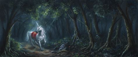 4k 5k Forests Unicorns Night Hd Wallpaper Rare Gallery