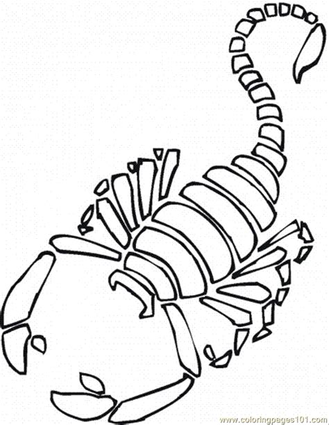 Coloring Pages Scorpion 7 Animals Arachnids Free Printable
