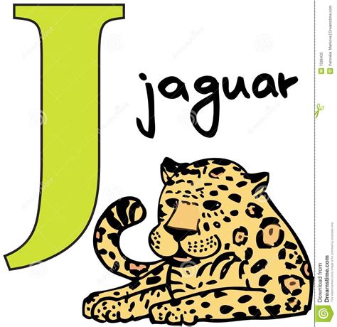 Animal alphabet J (jaguar) stock vector. Image of letter - 7596435