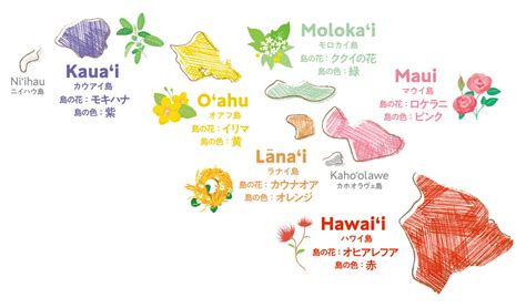 【学ぶハワイ】ハワイ各島に指定されている花「おうちでハワイ」のコラム｜allhawaiiオールハワイ