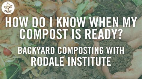 How Do I Know When My Compost Is Ready Backyard Composting Part 7
