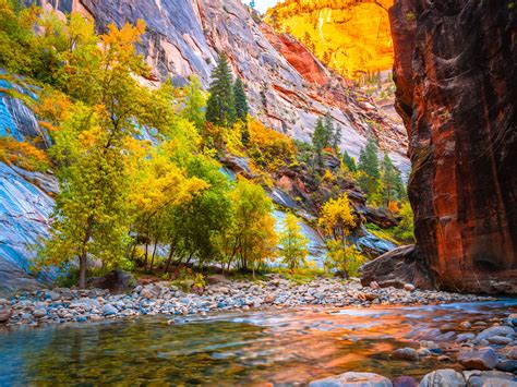 Zion National Park Fine Art Autumn Colors Fall Foliage Landscape Nature