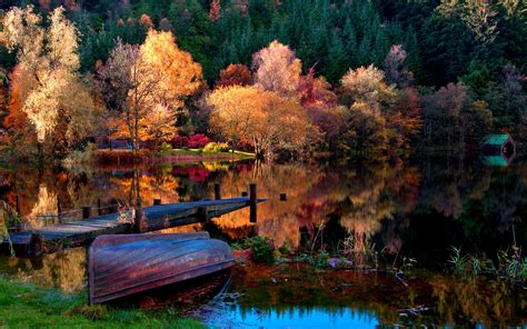 Picture Abandoned Lake Color Nice Leaves Shore Autumn Splendor
