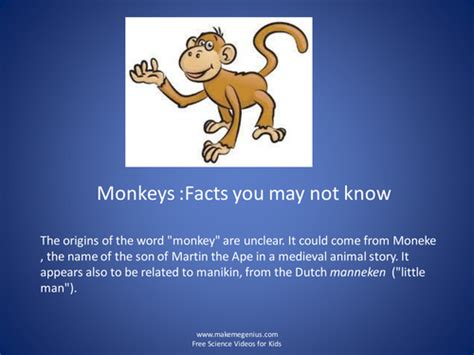 Monkeys Interesting Facts Teaching Resources