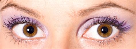 Beautiful Brown Eyes Stock Image Image Of Confidence 12364711
