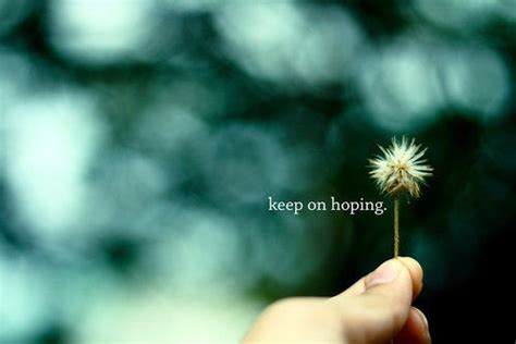 Keep On Hoping Pictures Photos And Images For Facebook Tumblr
