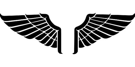 Eagle Wings United States Transparent Png Stickpng
