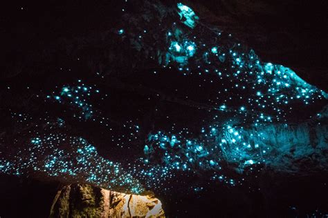 Down To Earth Eco Cave Tours In Waitomo Waitomo Caves Tutto Quello