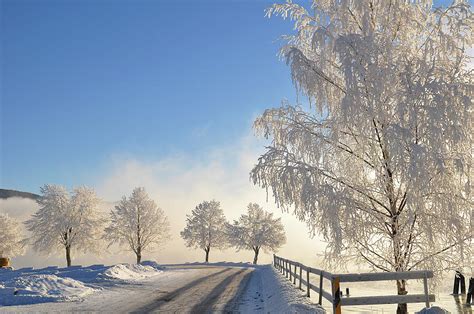 Frost Covered Trees Photograph By Ingunn B Haslekaas Fine Art America