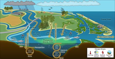 Dcerp Ecosystem Modules Aquaticestuarine Ecosystems Aquatic