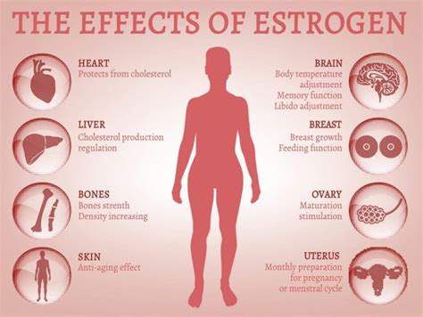 How Stress Impacts On Our Weight And Sex Hormones My Xxx Hot Girl