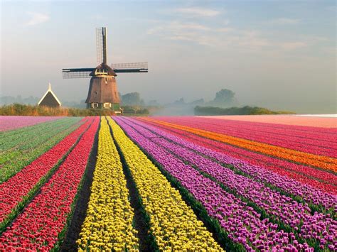 42 Places That Are Straight Out Of Fairy Tales Dutch Windmills Tulip