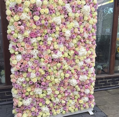 Marvelous Flower Wall Meijer Roses