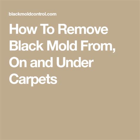 Rugs and carpets are a perfect place for molds to grow because they have the ability to retain moisture. How To Remove Black Mold From, On and Under Carpets | Remove black mold, Carpet, Molding