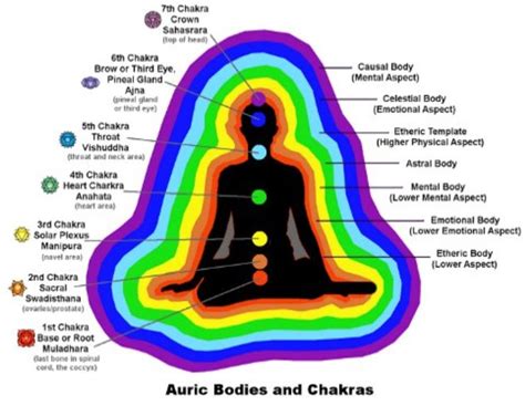 How To Read Auras What Is The Meaning Of Each Color In5d In5d