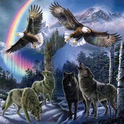 Pin By Lek Indianlek On The Call Of The Wild Eagle Pictures Wolf