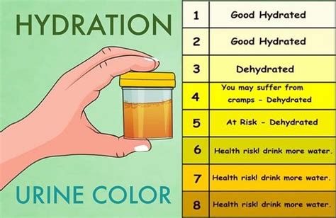 Urine Color Health What Your Urine Color Says About Your Health