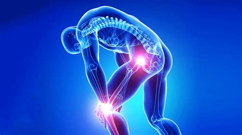 Muscle & Joint Pain Relief : Physical Therapy of Milwaukee