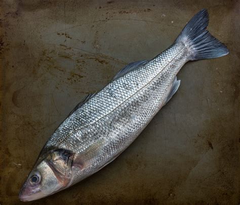 Hay pocas recetas de pescado tan rápidas y sencillas y a la vez tan agradecidas como un buen pescado al horno. Lubina - Sea Bass from Veta la Palma - Browne Trading ...