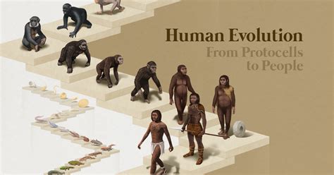 1440 Visualizing 4 Billion Years Of Human Evolution