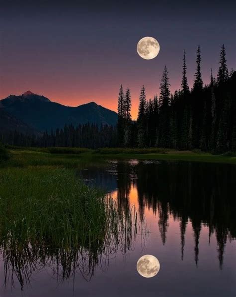 Moon Amazing Reflection Nature Photography Moonlight Photography