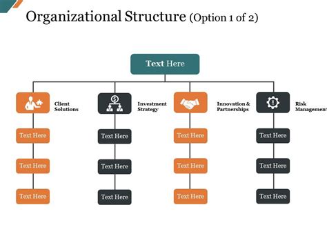 Organizational Structure Presentation Examples Presentation