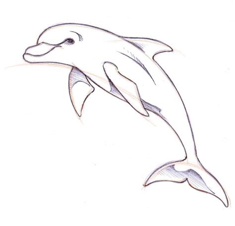 How To Draw A Dolphin Easy At Drawing Tutorials
