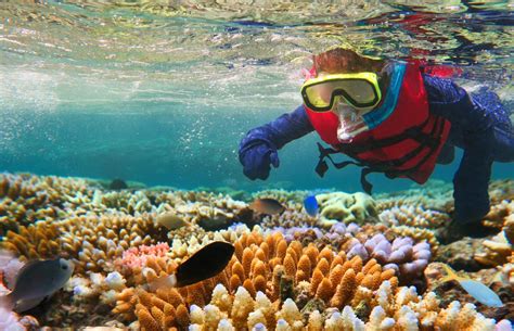 The Great Barrier Reef Australia She Is Wanderlust Blog