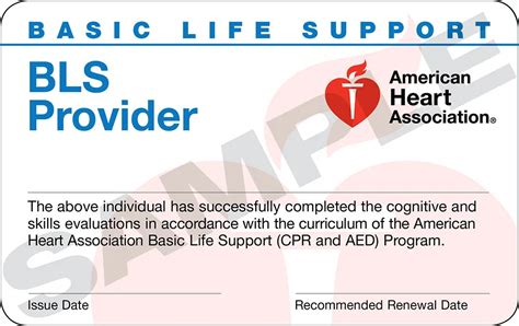 Acls Bls Course Charles