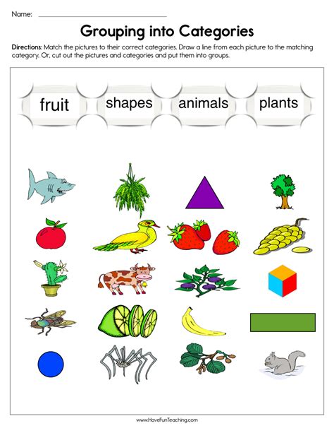 Grouping Into Categories Worksheet Have Fun Teaching