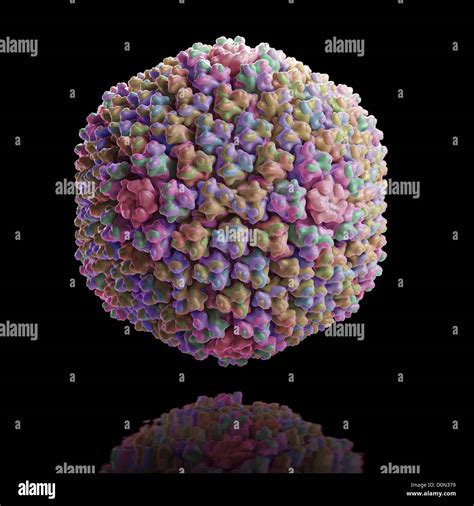 La Estructura Del Adenovirus Humano 3iyn Pdb Fotografía De Stock Alamy