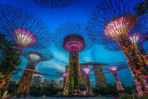 Singapore Gardens By The Bay