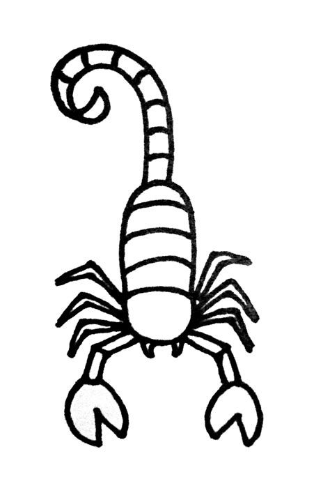 How To Draw A Scorpion For Kids