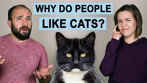 why do people like cats youtube