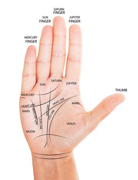 Woman Hand With Palm Reading Map Palm Reading Palm Reading Charts