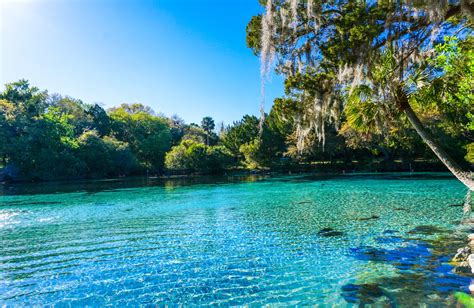How to elope in florida. The Springs of Spring: Where to Cool Off in Central Florida