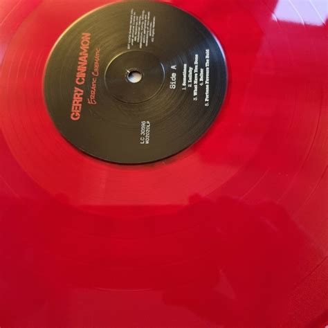 Gerry Cinnamon Erratic Cinematic Vinyl Lp Red Ebay
