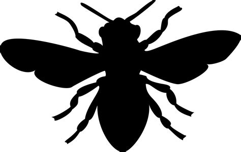 Bug Png Black And White Transparent Rhino Clipart Black And White