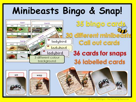 The description classic refers to traditional playing cards that are well established today and which are divided into card suits. Minibeasts: Bingo, Snap! and Matching Pair Card Games, Picture cards, Minibeast names EYFS/KS1 ...