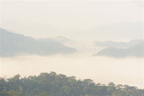 Beautiful Floating Fog In Rain Forestthailand Stock Photo Image Of