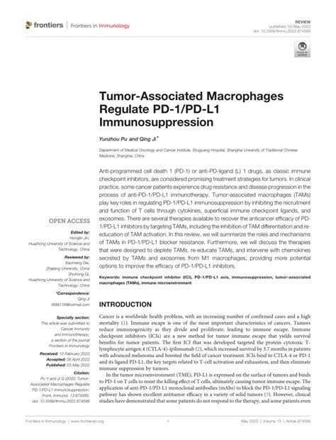 Pdf Tumor Associated Macrophages Regulate Pd Pd L Immunosuppression
