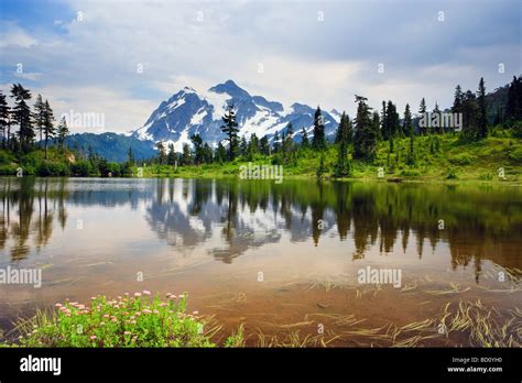 Mount Shuksan In Reflection In Picture Lake Washington State Usa