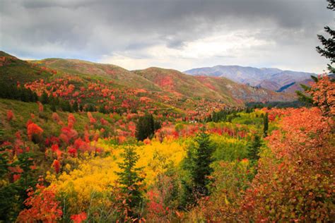 12 Country Roads In Utah That Are Pure Bliss In The Fall
