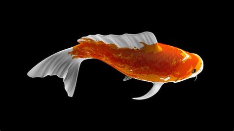Premium Photo Colorful 3d Rendering Koi Fish With Redblack And White