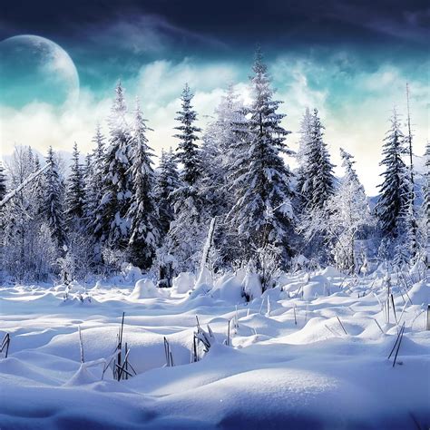 Please contact us if you want to publish a snowfall wallpaper on our site. Live Snow Falling Wallpaper (54+ images)
